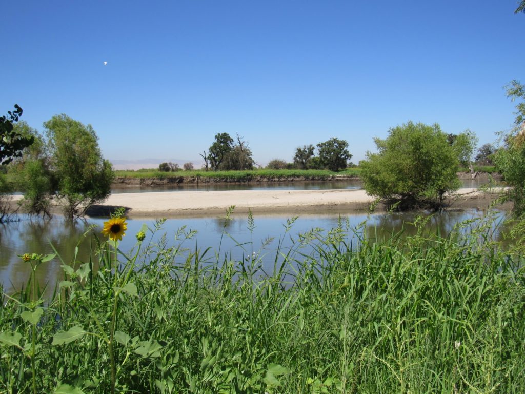 Date Ideas in Stockton - San Joaquin River National Wildlife Refuge